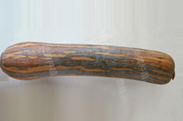 知道最甜最面的南瓜品種嗎？盤點十種有營養(yǎng)的甜面南瓜...