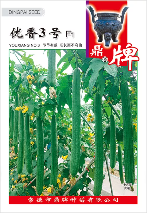 它是絲瓜種植戶的新選擇，節(jié)節(jié)有瓜，瓜長(zhǎng)而不彎曲