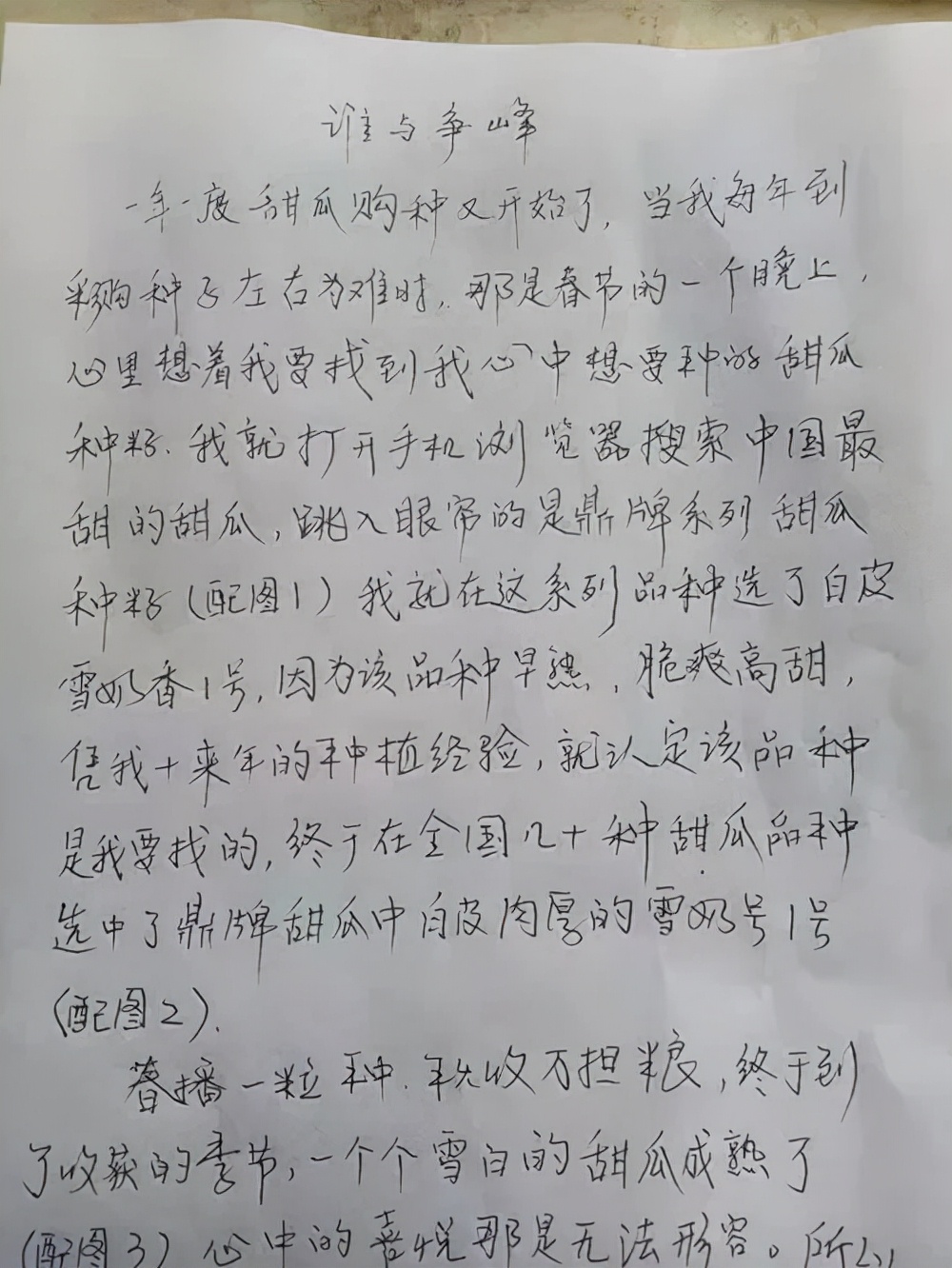 河南焦作的李向林今年種植甜瓜新品種，客戶直接拉貨走人
