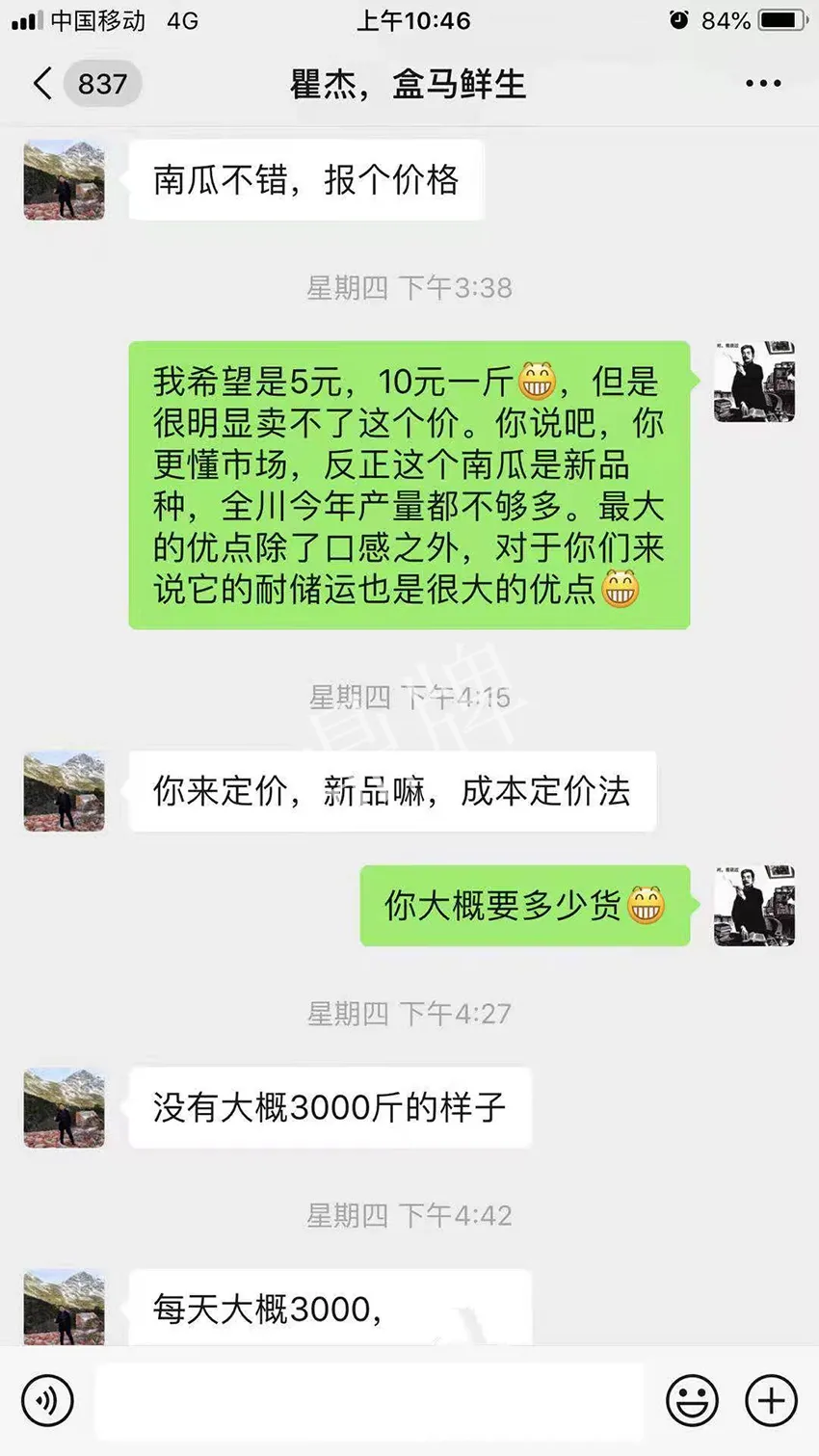 四川農(nóng)戶今年種“健美蜜本”南瓜產(chǎn)量高，品質(zhì)好，感覺巴適得很