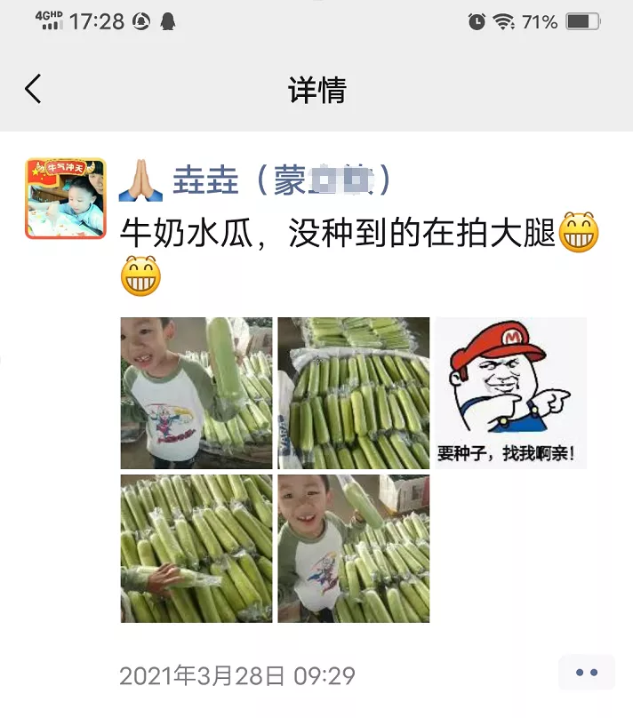 這個(gè)絲瓜每畝能掙3萬，沒種植的農(nóng)戶后悔得拍大腿