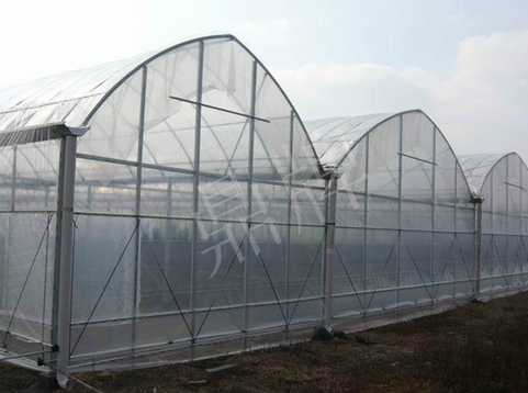 蔬菜種子種植戶客戶點(diǎn)評-鼎牌瓠瓜上市早，地頭批發(fā)價(jià)達(dá)到8元/斤，種植基地王老板告訴您！