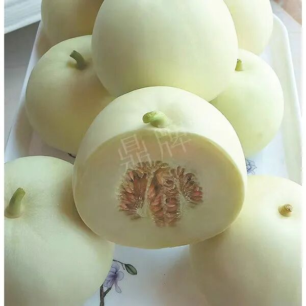 蔬菜種子種植戶(hù)種植心得-這個(gè)品種幫我留一些，4月份我們當(dāng)?shù)剡€要種一批